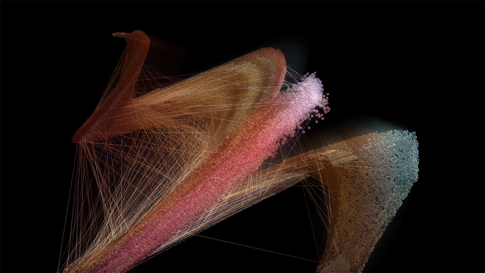 Kirûpark. Projektreihe 