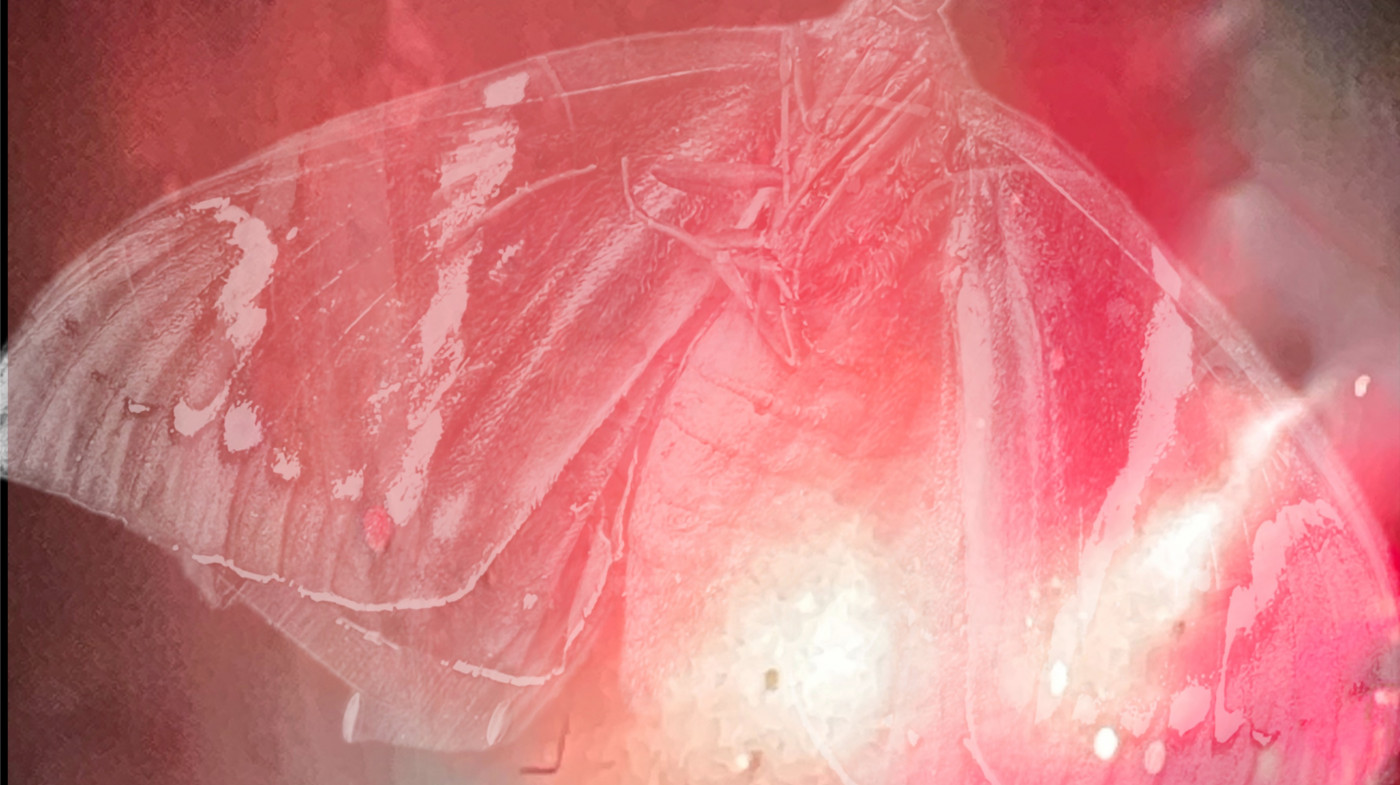 sonic somatics - the body as a resonant space