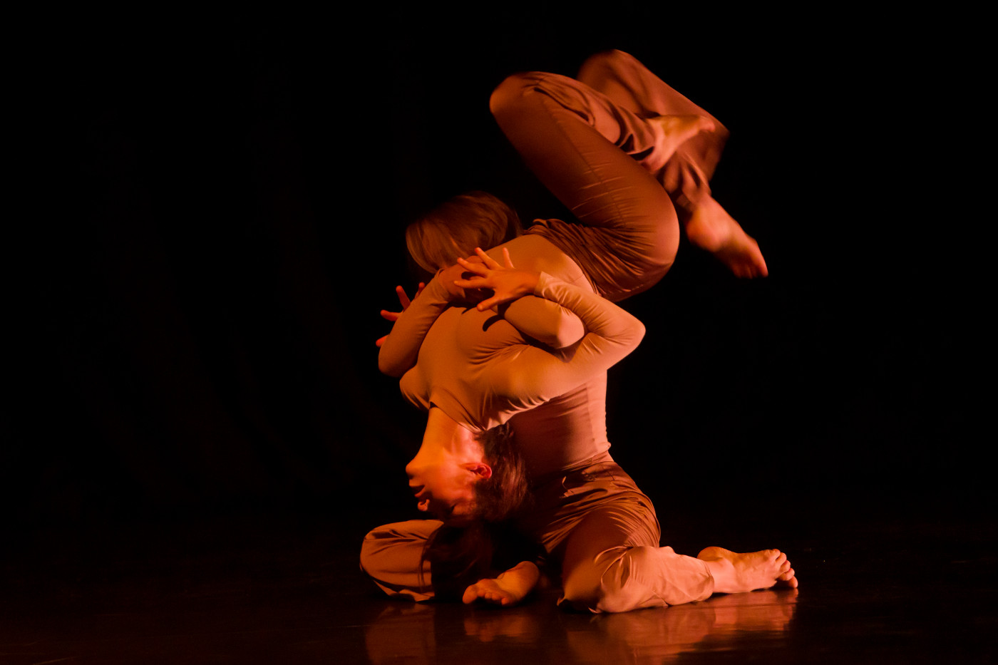 Contemporary for professionals