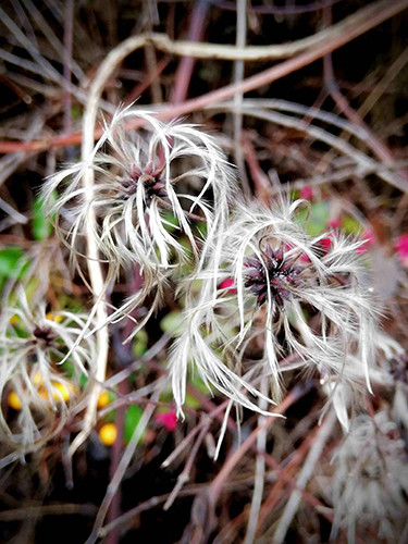 TANZ Intensiv Wochenenden „Sinn-Voll“