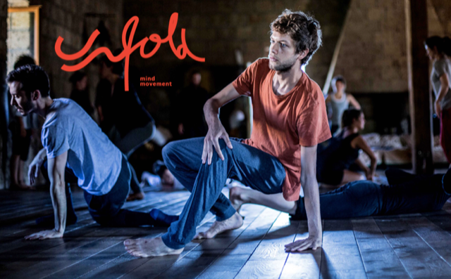 UNFOLD workshop - Coordinating the Whole