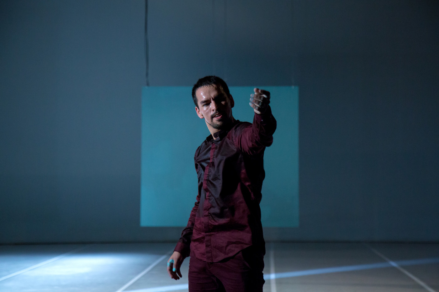 Ein Körper / Desmata