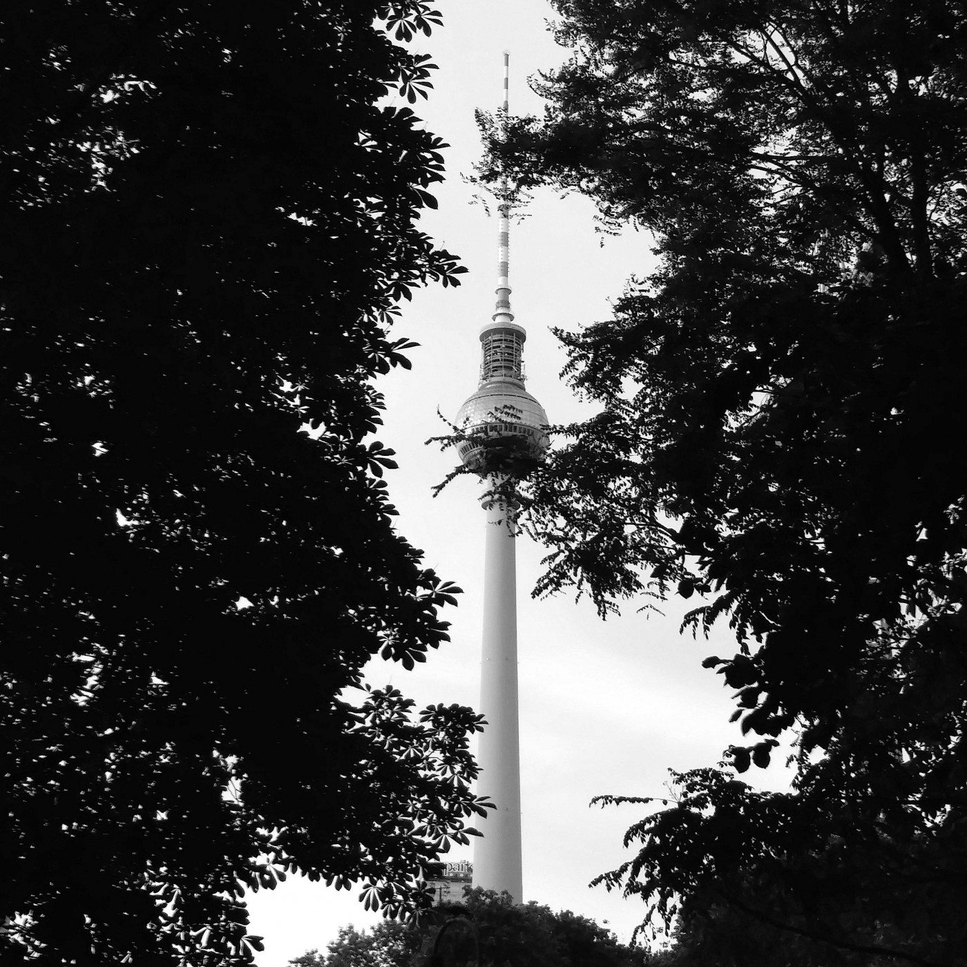 the body keeps it honest